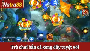 Bắn Cá Xèng - Trò Chơi Bắn Cá Đầy Tuyệt Vời Tại Natra88