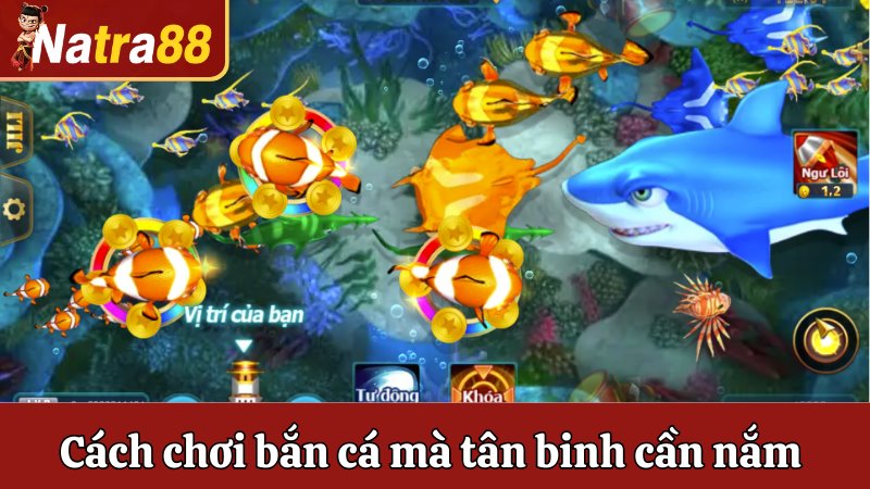 Cách chơi bắn cá mà tân binh cần nắm