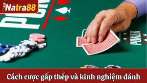 Cách Cược Gấp Thếp Và Kinh Nghiệm Đánh Cược Hiệu Quả Nhất