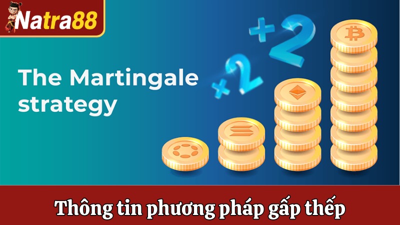 Giới thiệu thông tin và nguồn gốc phương pháp gấp thếp