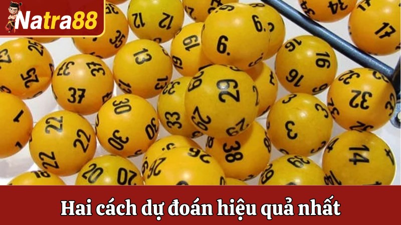 Hai cách dự đoán hiệu quả nhất