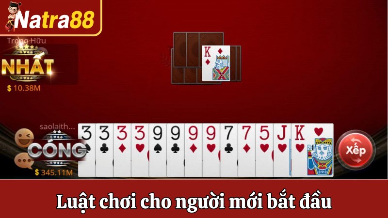 Hướng dẫn luật chơi cho người mới bắt đầu