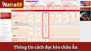 Kèo Châu Âu - Thông Tin Về Luật Chơi, Cách Đọc Tỷ Lệ Kèo