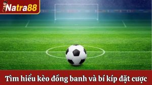 Kèo Đồng Banh Là Gì? Mách Bạn Bí Kíp Đặt Cược Luôn Thắng