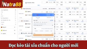 Hướng Dẫn Đọc Kèo Tài Xỉu Chuẩn Cho Người Mới Tại Natra88