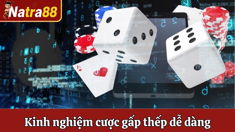 Kinh nghiệm hiệu quả giúp bạn cược gấp thếp dễ dàng
