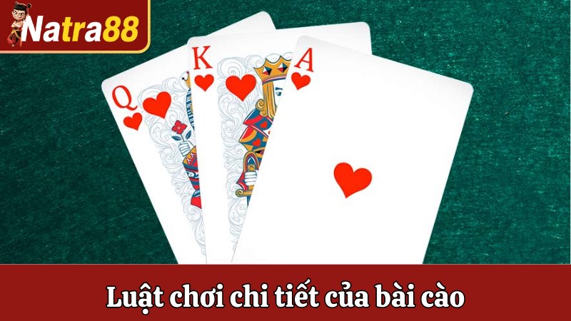 Luật chơi chi tiết của bài cào