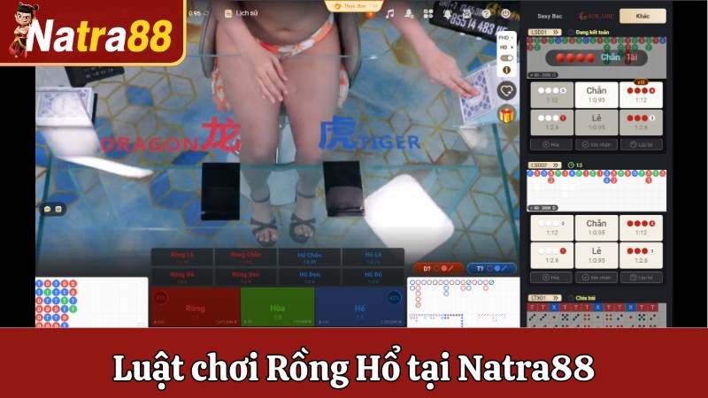 Luật chơi Rồng Hổ tại Natra88