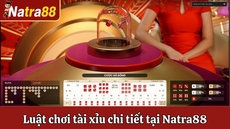 Luật chơi Tài xỉu chi tiết tại Natra88