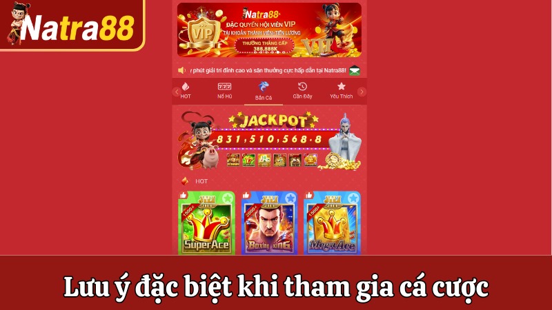 Lưu ý đặc biệt khi tham gia cá cược tại nhà cái