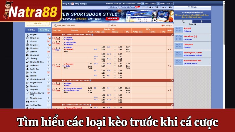 Nên tìm hiểu các loại kèo trước khi cá cược