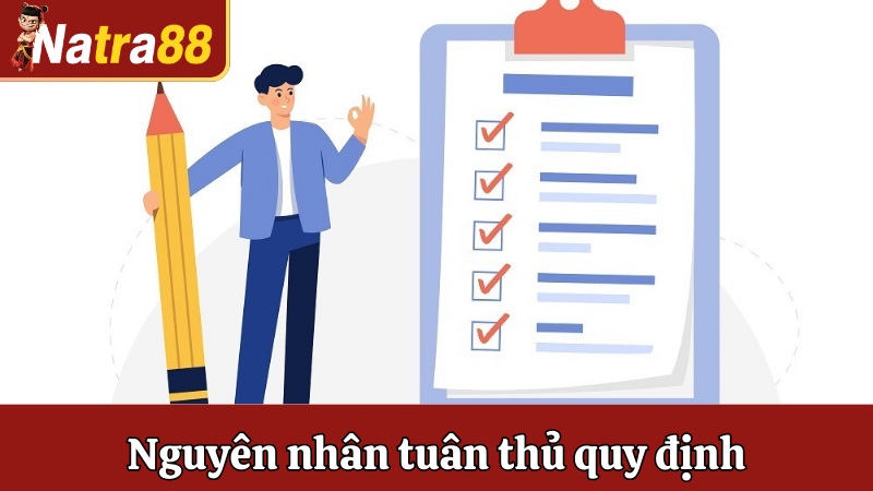 Nguyên nhân phải tuân thủ quy định về trách nhiệm