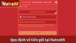 Giới Thiệu Về Natra88 - Nền Tảng Đẳng Cấp Top 1 Năm 2025