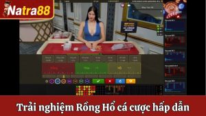 Trải Nghiệm Rồng Hổ Natra88 - Tựa Game Cá Cược Đầy Hấp Dẫn