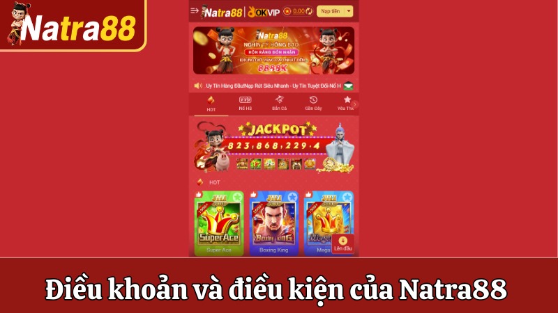 Tìm hiểu điều khoản và điều kiện của Natra88