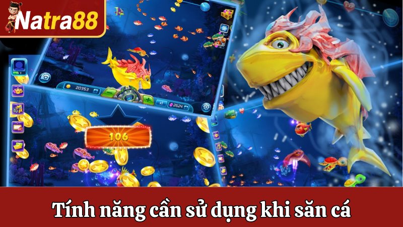 Tính năng cần sử dụng khi săn cá