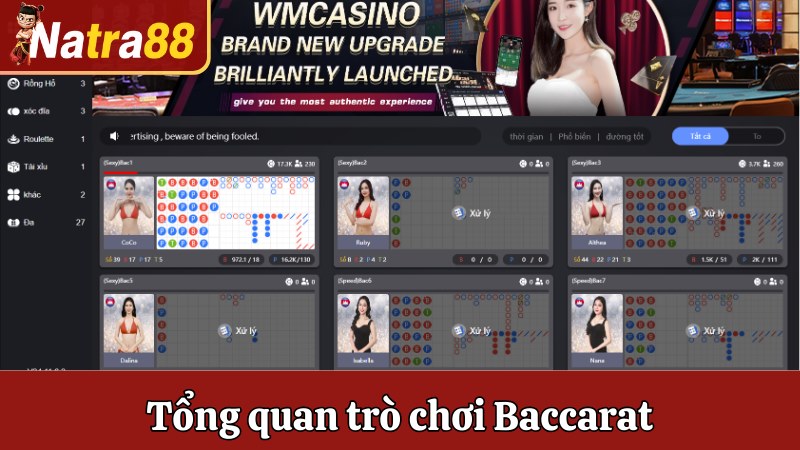 Tổng quan trò chơi Baccarat