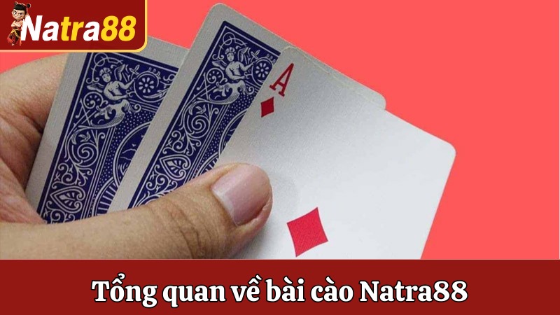 Tổng quan về bài cào Natra88