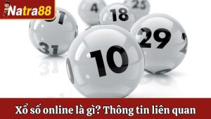 Xổ Số Online Là Gì - Khái Niệm Và Những Thông Tin Liên Quan