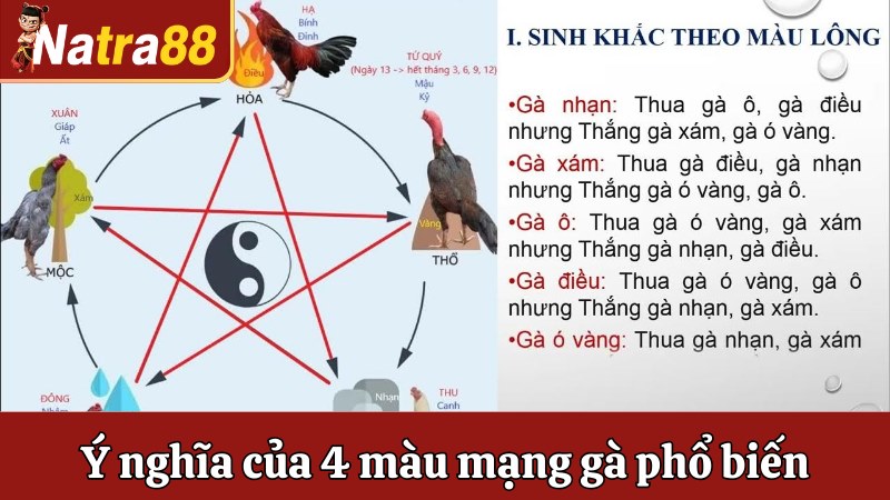 Ý nghĩa của 4 màu mạng gà phổ biến hiện nay